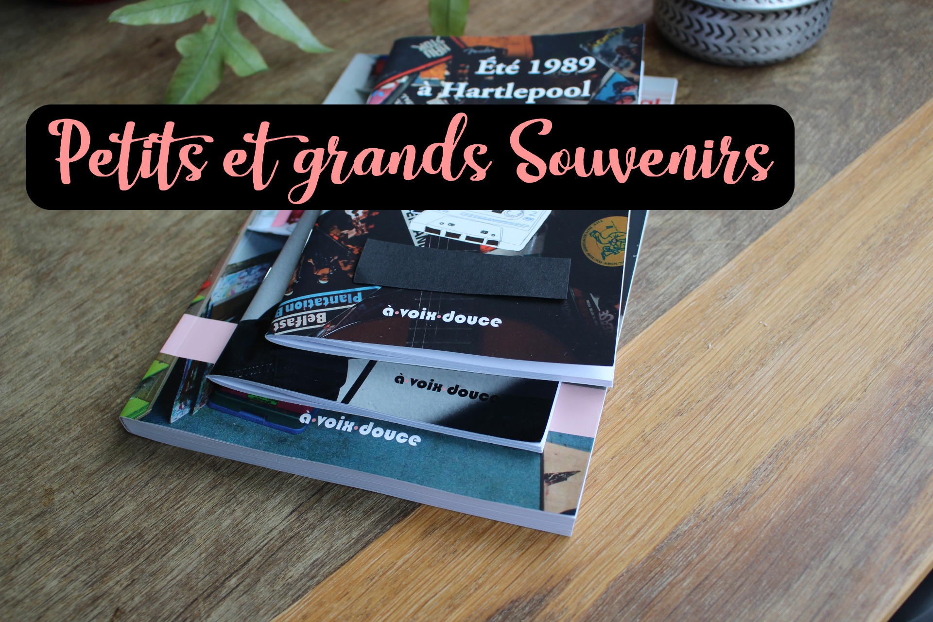 Livres biographiques